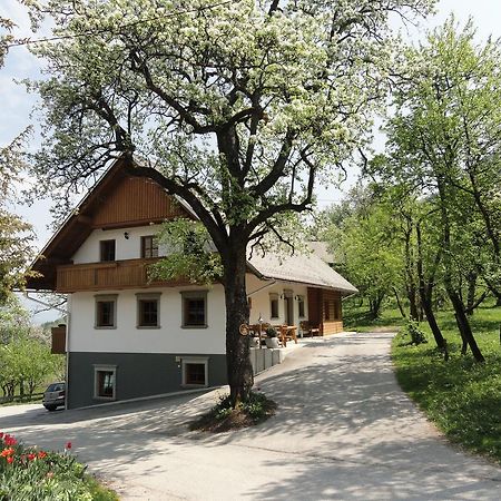Farm Stay Dolinar Krainer Bohinjska Bela Exterior foto